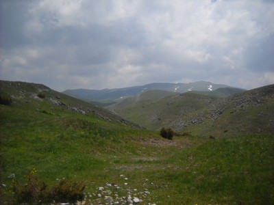 63. NP Mavrovo - pořád mezi cca 1600 - 2000m.n.m.jpg